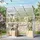 Vitavia Palma 3250 Alu Silber ESG 3 mm / HKP 6 mm 3,27 m2