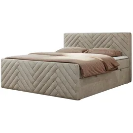 MKS Meble Paris Duo 200 x 200 cm H3 Beige