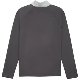 Puma Individualliga 1/4 Zip Sweatshirt, grau F10 S