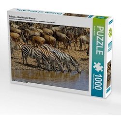 Zebras....Streifen am Wasser (Puzzle)