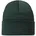 Beanie Solid Forest