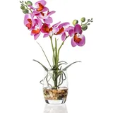 Jusdreen Künstliche Bonsai-Blume mit Glasvase, lebendige Orchideen-Blumenarrangement, Phalaenopsis-Blumentopf, für Zuhause, Büro, Dekoration, Haus-Dekorationen (Glasvase/Violette Orchidee)