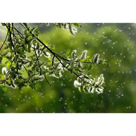 AEG AFDBTH6 Luftreinigerfilter, Box - Grau