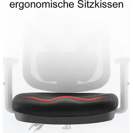 SIHOO Bürostuhl Grau