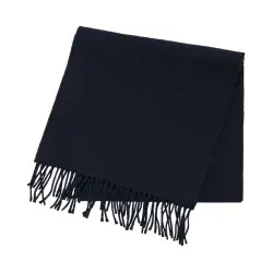 Gant für Herren. 9920203 Marineblauer Wollschal (OSFA), Lässig, Wolle