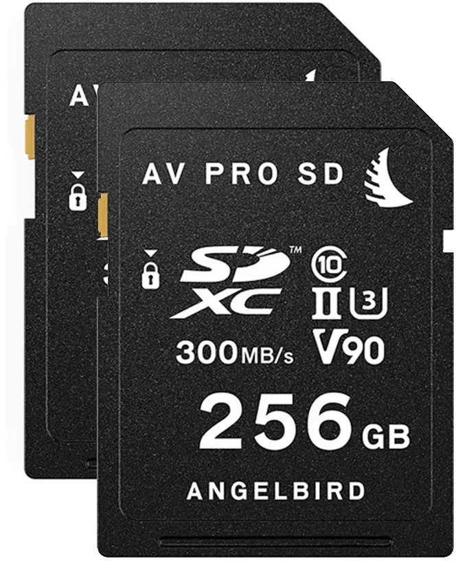 Angelbird AVpro SDXC UHS-II V90 256GB 2er-Pack