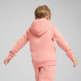 Puma Essentials No. 1 Logo Fleece Hoodie Jungen 18 pink fruit 116