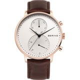 BERING Classic 13242-564