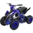 ACTIONBIKES MOTORS Actionbikes Racer 1000 Watt Pocket Kinderquad Pocketbike ATV (Schwarz/Blau)