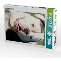 Calvendo Englische Bulldogge (Puzzle)