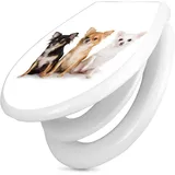 banjado Familien WC Sitz mit Absenkautomatik 44,9x37,1cm - Klobrille mit Kindersitz aus hochwertigem Polypropylen - Toilettendeckel mit Kinder Toilettensitz integriert - Motiv Chihuahua