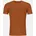 COOL bristle brown M