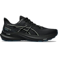 ASICS Herren GT-2000 12 GTX schwarz