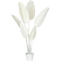 Beliani Kunstpflanze Banana Tree 123 cm)
