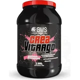 BMS CreaVitargo Mango Pulver 2000 g