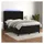 vidaXL Boxspringbett mit Matratze & LED Schwarz 140x200 cm Samt