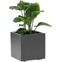 Euro3Plast Xxxl Blumenkasten Greener Kebe, Anthrazit, Kunststoff, 39.5x39.5x39.5 cm