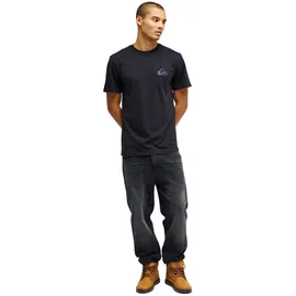 QUIKSILVER EV Mini Logo T-Shirt 2026 black - XXL