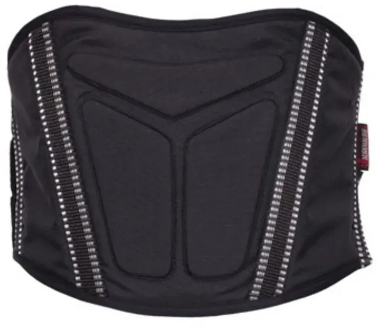 Cintura renale ADRENALINE GTX 2.0 Taglia L