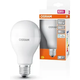 DeLock LED-Birne 150W E27 6500 K 1 St.
