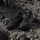adidas Terrex Eastrail 3 Herren Core Black/Carbon/Grey Four 45 1/3