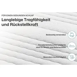 Ravensberger Matratzen Basis 100 x 200 cm H3