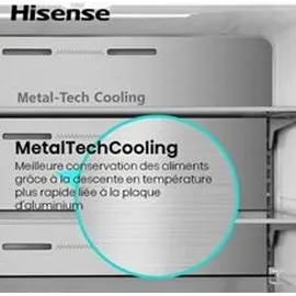 Hisense RQ5P470SAFD Multi Door (483 l, 1785 mm hoch, Schwarz)