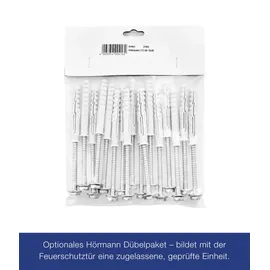 Hörmann T 30-H8-5 rechts 100 x 200 cm Grauweiß