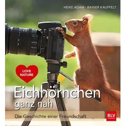 Eichhörnchen ganz nah