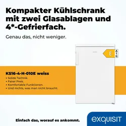 Exquisit Kühlschrank KS16-4-H-010E weiss | 120 l Nutzinhalt | Weiß
