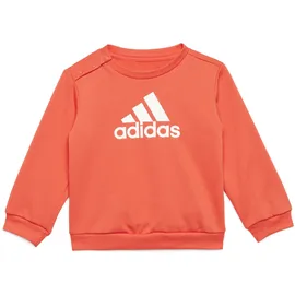 adidas Badge Of Sport French Terry Set Bright Red / White 80