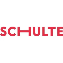 Gebrüder Schulte GmbH & Co. KG Fachboden verzinkt 1300x400 mm 250 kg