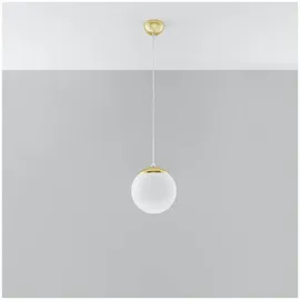 Sollux UGO 1-flg. 20 cm gold/Glas