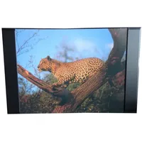 Livepac-Office Schreibtischunterlage 68x44cm / mit Leopard