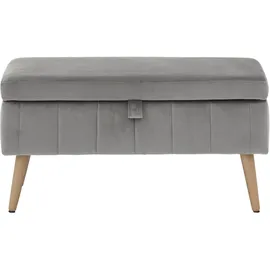 otto home Truhenbank OTTO HOME "AMIRA Sitzbank mit Stauraum, Maße B/T/H: 81/36/43 cm", silber (silberfarben), B:81cm H:43cm T:36cm, Struktur fein (100% Polyester);Samtvelours (100% Polyester);Luxus-Microfaser weich (100% Polyester), Sitzbänke, mit Staufach, in 3