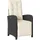 vidaXL Gartensessel 59 x 59 x 108 cm schwarz