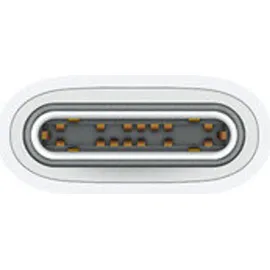 Apple USB-C 1,0 m Weiß