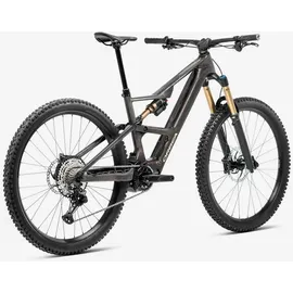 Orbea Rise SL M20 2026 29 Zoll 630 Wh cosmic carbon view/golden sand gloss L