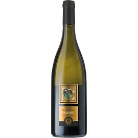 Velenosi Vigna Solaria Falerio dei Colli Ascolani DOC 2022 6 x 0,75 l