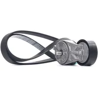 DAYCO Keilrippenriemensatz KPV384