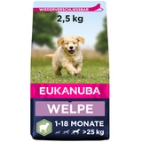 Eukanuba Puppy Large Breed Lamb & Rice 2,5 kg