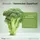 Raab Vitalfood Bio Broccoli Kapseln 90 St.