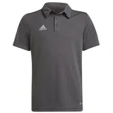 Adidas Entrada 22 Poloshirt Gr. 164