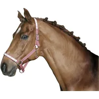 Kerbl Mähnengummi, 800 St./Dose, weiß