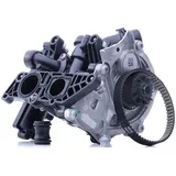 Hepu P673