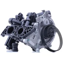 Hepu P673
