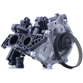 Hepu P673