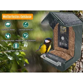 Berger & Schröter Futterhaus ES50BS 150 ml Vogel Grün, Grau mit Bewegungsmelder, Kamera, Speicherkarten-Slot, Solarpanel 1 St. ES50BS