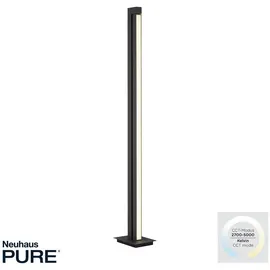 Paul Neuhaus PURE Lines 140 cm grau
