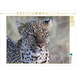 CALVENDO Puzzle CALVENDO Puzzle Leoparden – Augen-Blick 1000 Teile Lege-Größe 64 x 48 cm Foto-Puzzle Bild von Michael Herzog, 1000 Puzzleteile